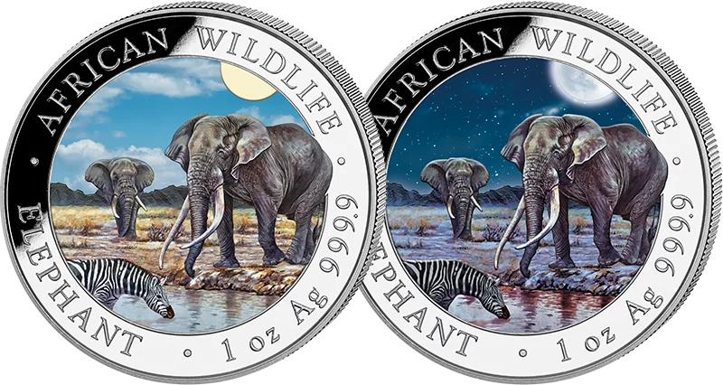2 x 100 shillings Somalie Éléphant Jour et Nuit 2026