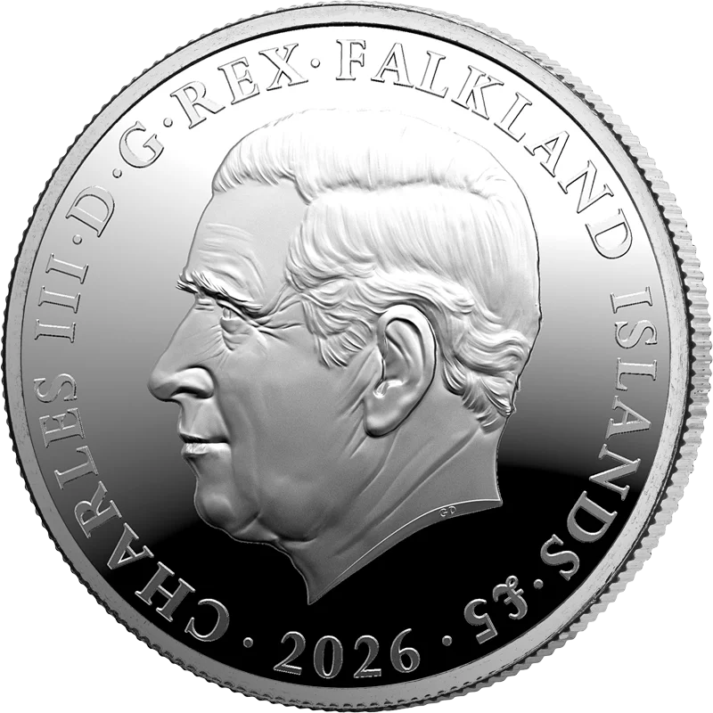 Manchot sauteur du Sud des îles Falkland (5 livres) 2026