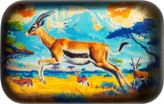 Casting Bar Le Springbok africain 2024