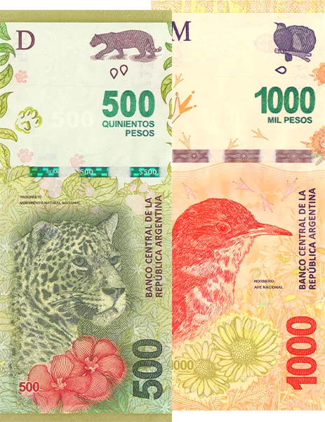 Lot de 2 billets de banque argentins 2016/2017