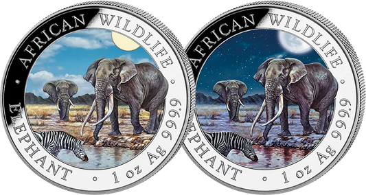 2 x 100 shillings Somalie Éléphant Jour et Nuit 2026
