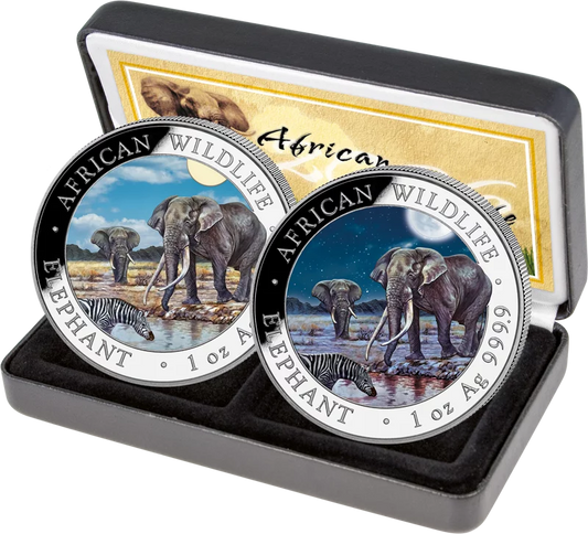 2 x 100 shillings Somalie Éléphant Jour et Nuit 2026