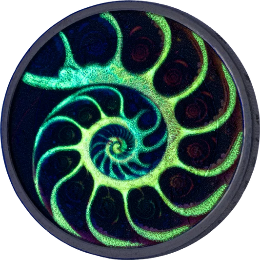 Édition Artiste Fibonacci 2 euros phosphorescente