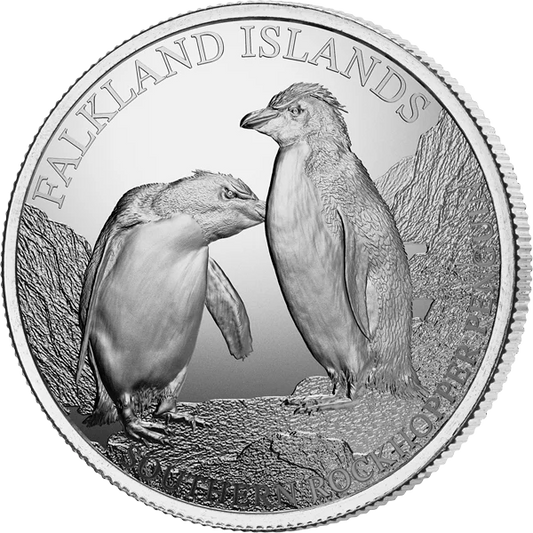 Manchot sauteur du Sud des îles Falkland (5 livres) 2026