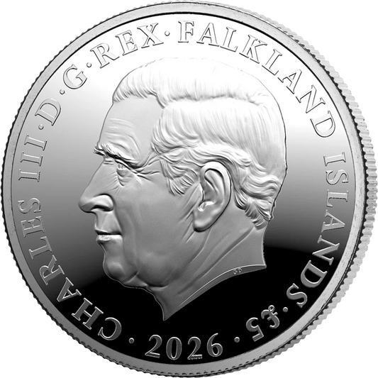 Manchot sauteur du Sud des îles Falkland (5 livres) 2026
